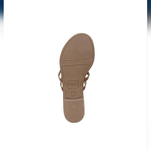 Sam Eldman  - Picture 2 of 15